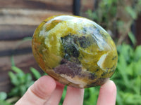 Polished Mix Of Selected Palm Stones x 12 From Madagascar