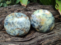 Polished Mix Of Selected Palm Stones x 12 From Madagascar