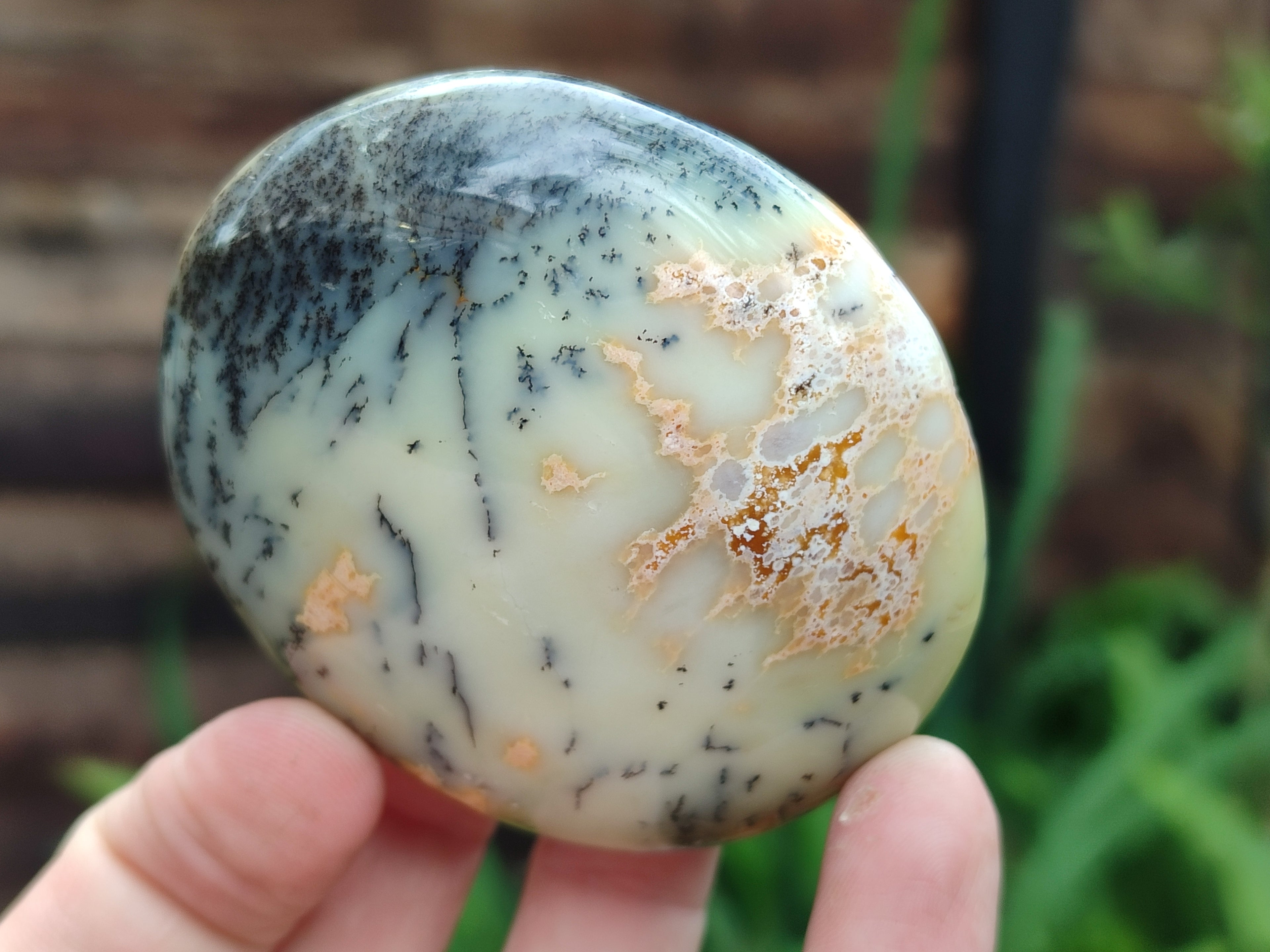 Polished Mix Of Selected Palm Stones x 12 From Madagascar - Toprock Gemstones and Minerals 