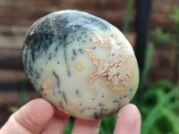 Polished Mix Of Selected Palm Stones x 12 From Madagascar