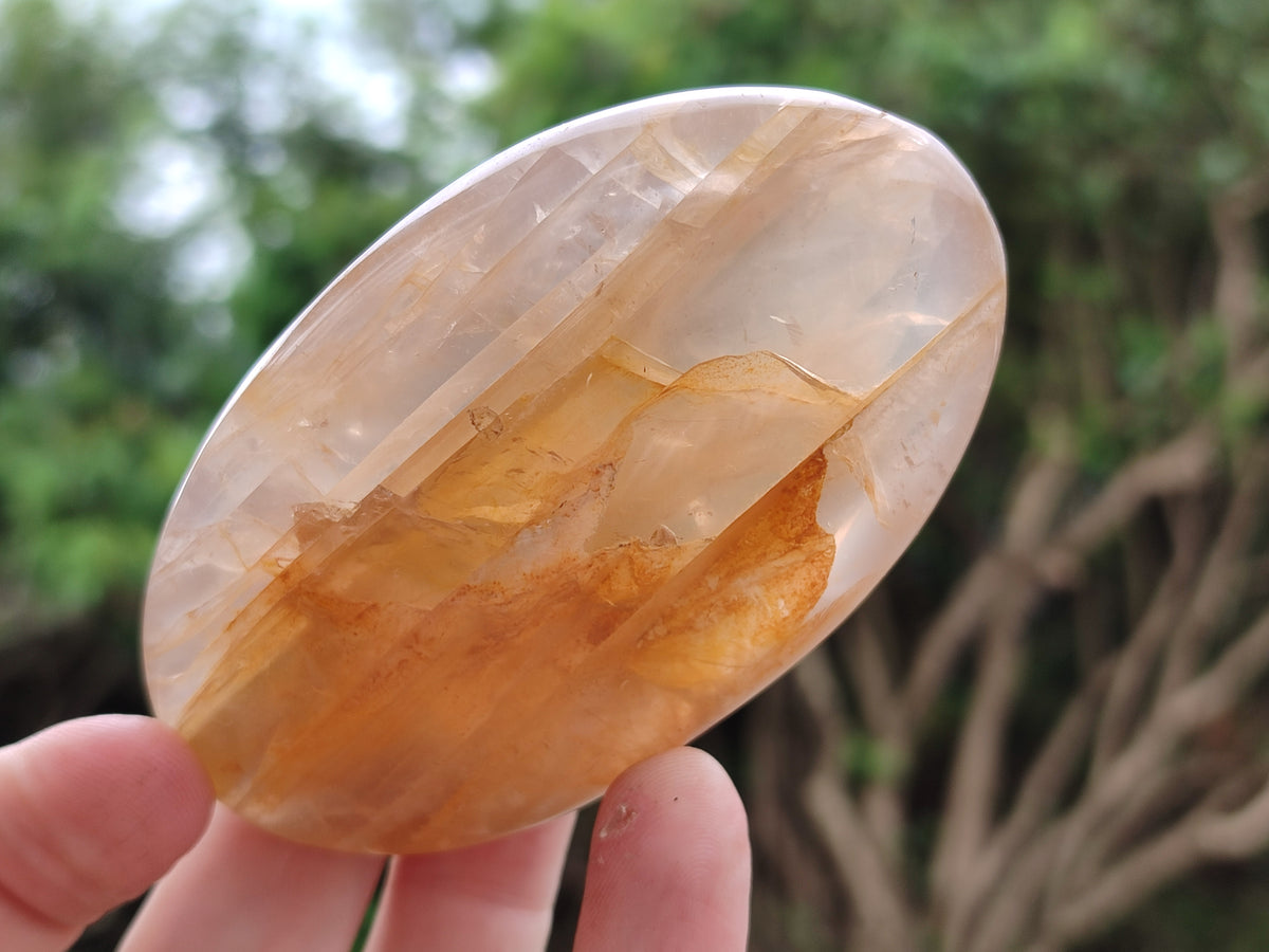 Polished Mix Of Selected Palm Stones x 12 From Madagascar - Toprock Gemstones and Minerals 