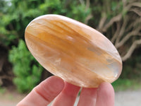 Polished Mix Of Selected Palm Stones x 12 From Madagascar