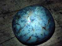 Polished Mix Of Selected Palm Stones x 12 From Madagascar