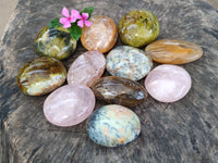 Polished Mix Of Selected Palm Stones x 12 From Madagascar