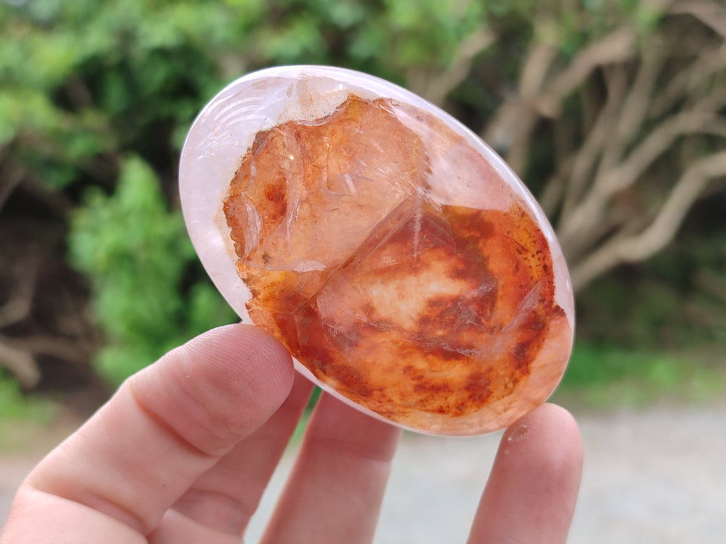 Polished Mix Of Selected Palm Stones x 12 From Madagascar - Toprock Gemstones and Minerals 