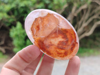 Polished Mix Of Selected Palm Stones x 12 From Madagascar