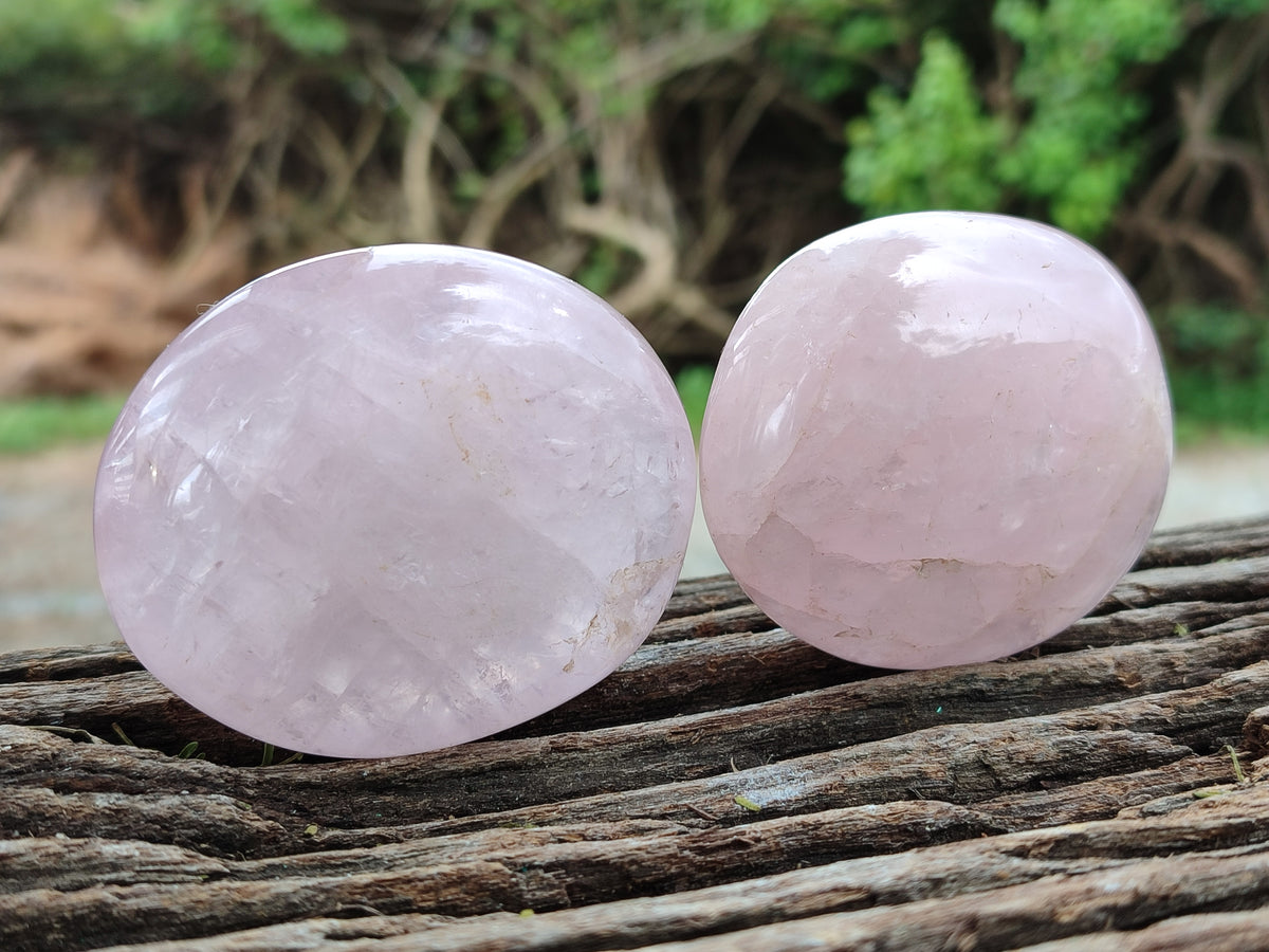 Polished Mix Of Selected Palm Stones x 12 From Madagascar - Toprock Gemstones and Minerals 