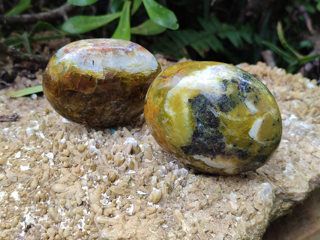 Polished Mix Of Selected Palm Stones x 12 From Madagascar - Toprock Gemstones and Minerals 