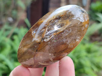 Polished Mix Of Selected Palm Stones x 12 From Madagascar