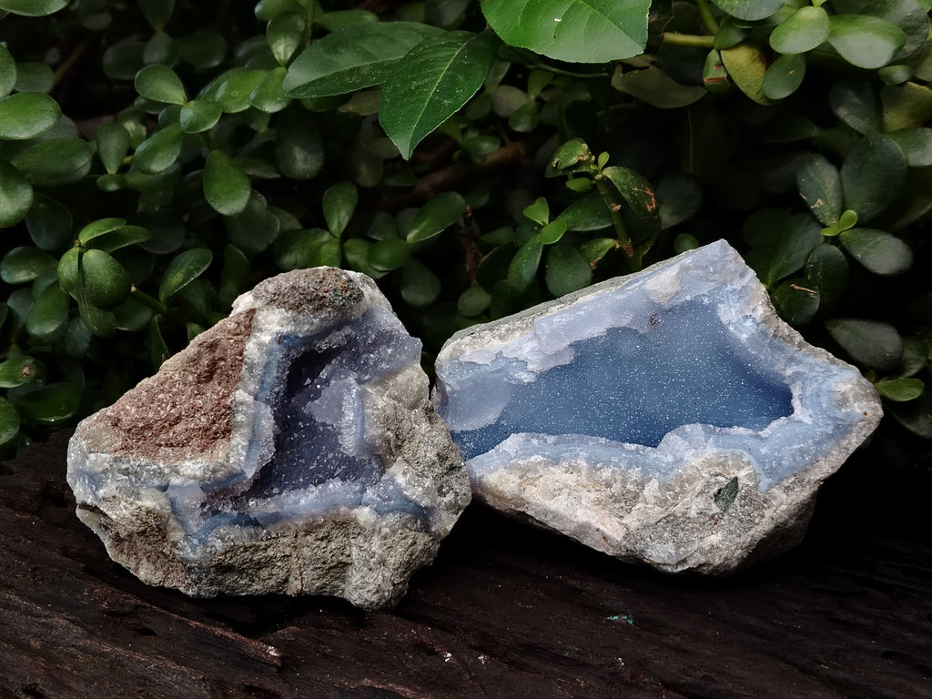 Natural Blue Lace Agate Geode Specimens x 6 From Nsanje, Malawi - Toprock Gemstones and Minerals 