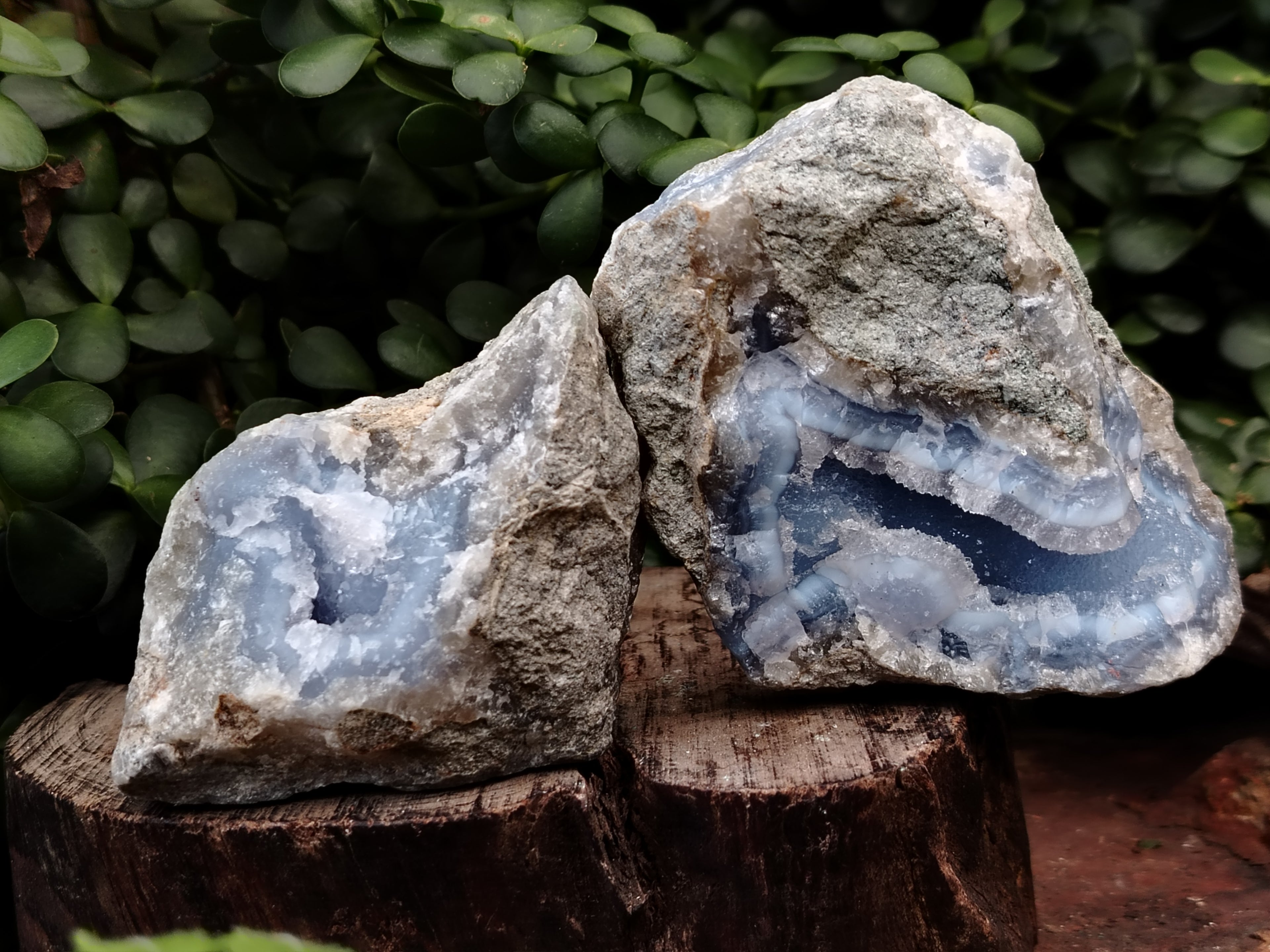 Natural Blue Lace Agate Geode Specimens x 6 From Nsanje, Malawi - Toprock Gemstones and Minerals 