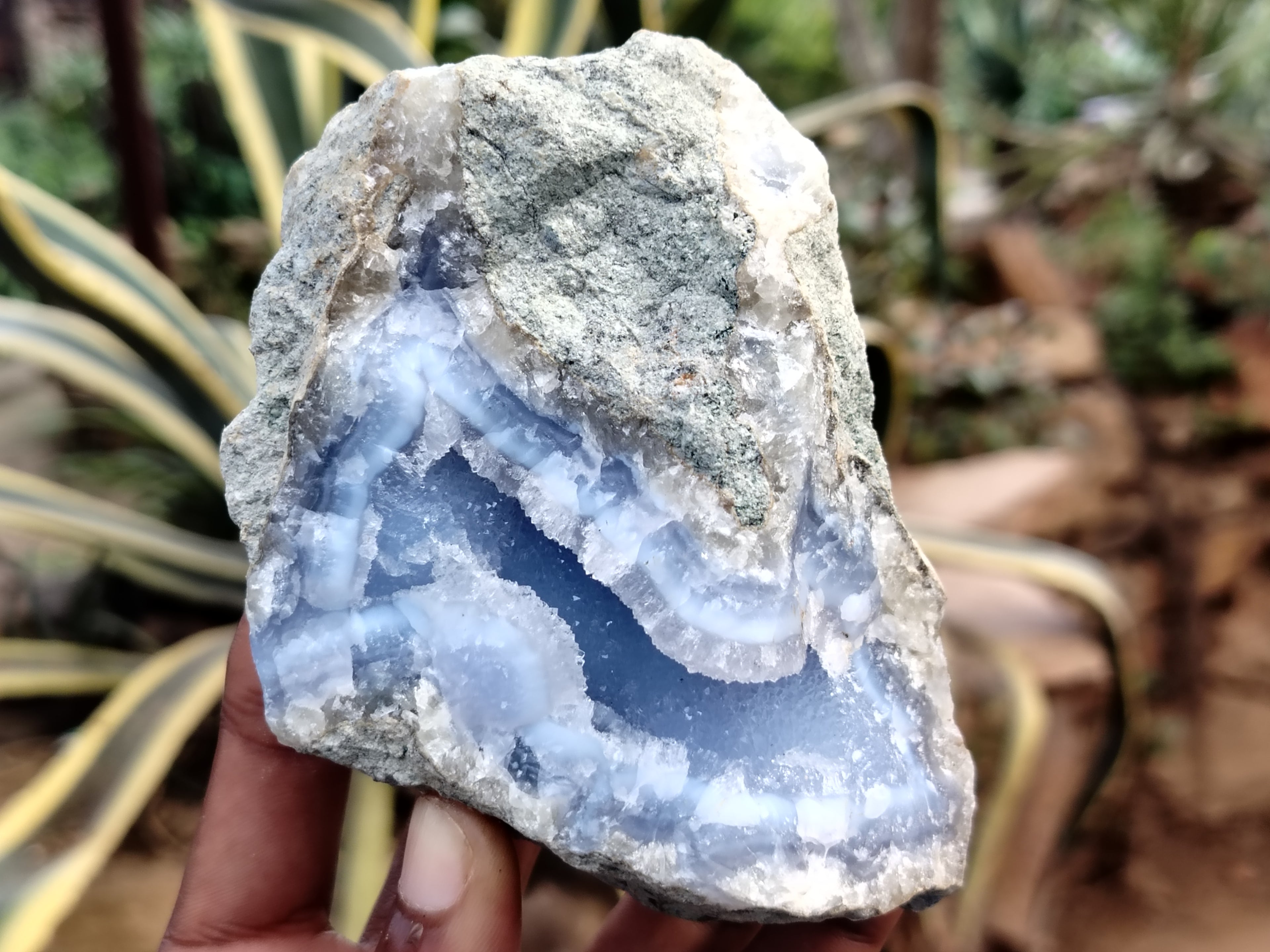 Natural Blue Lace Agate Geode Specimens x 6 From Nsanje, Malawi - Toprock Gemstones and Minerals 