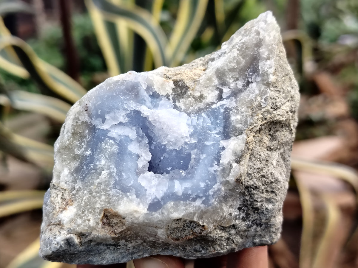 Natural Blue Lace Agate Geode Specimens x 6 From Nsanje, Malawi - Toprock Gemstones and Minerals 