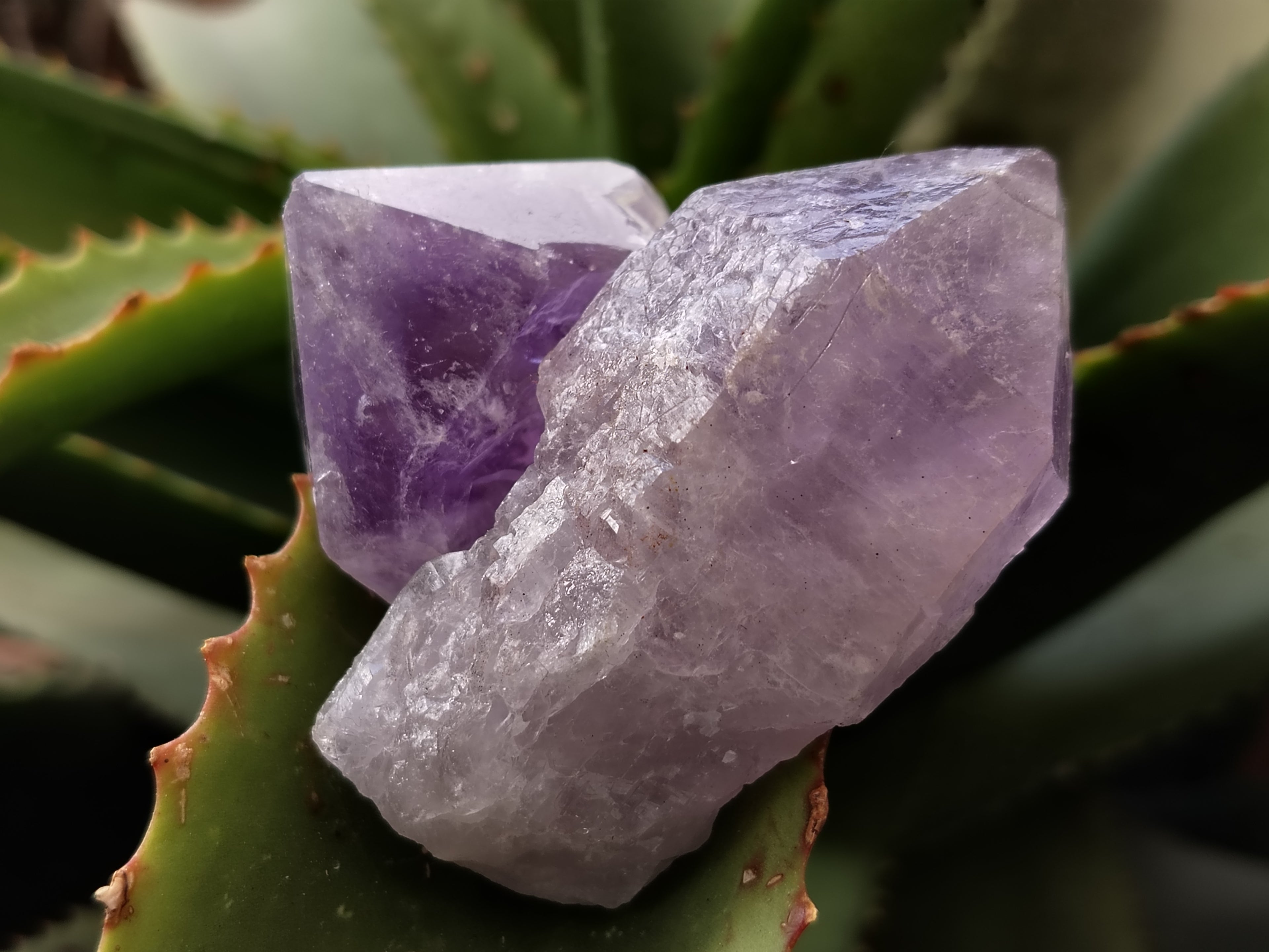 Natural Jacaranda Amethyst Single Quartz Crystals x 35 From Mumbwa, Zambia - Toprock Gemstones and Minerals 