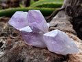 Natural Jacaranda Amethyst Single Quartz Crystals x 35 From Mumbwa, Zambia - Toprock Gemstones and Minerals 