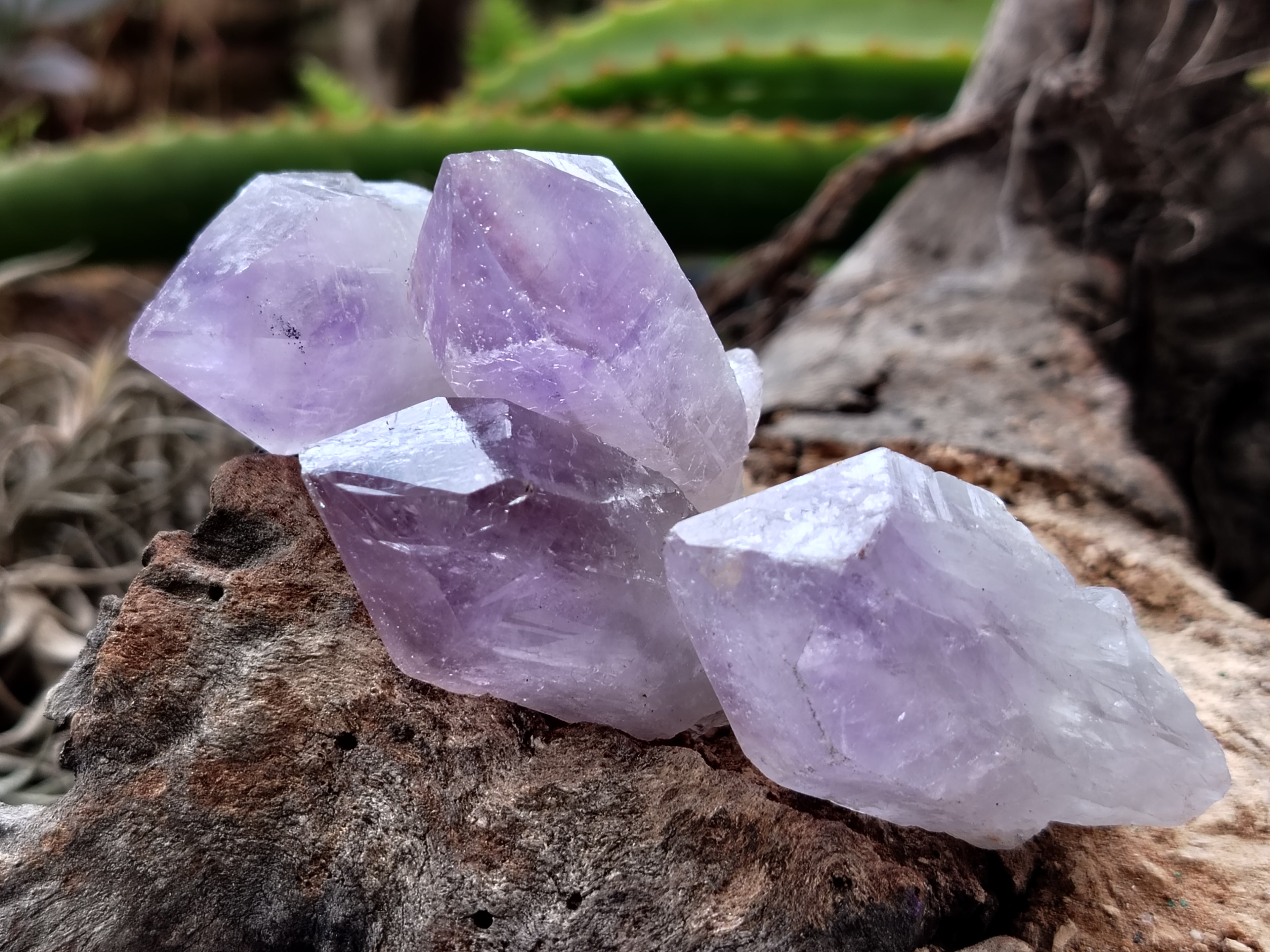 Natural Jacaranda Amethyst Single Quartz Crystals x 35 From Mumbwa, Zambia - Toprock Gemstones and Minerals 
