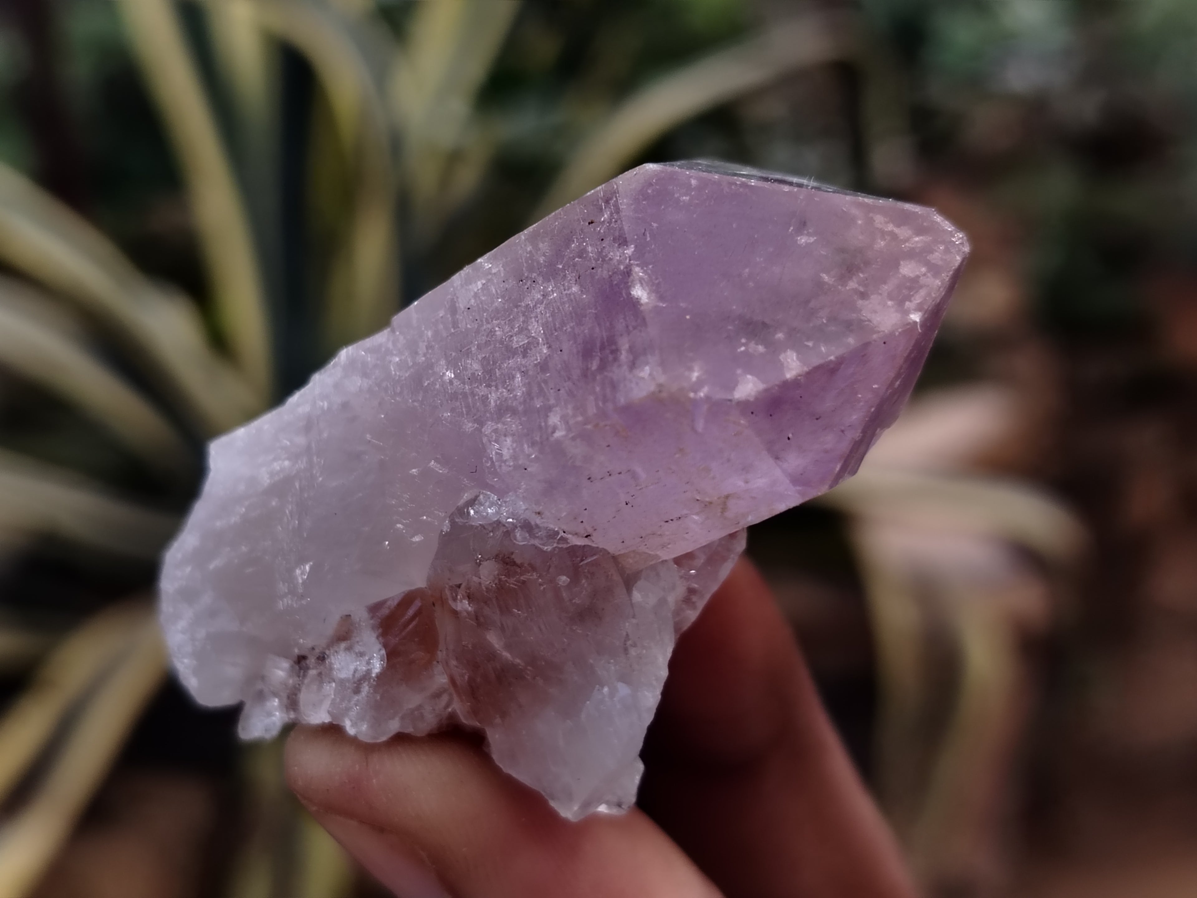 Natural Jacaranda Amethyst Single Quartz Crystals x 35 From Mumbwa, Zambia - Toprock Gemstones and Minerals 