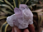 Natural Jacaranda Amethyst Single Quartz Crystals x 35 From Mumbwa, Zambia - Toprock Gemstones and Minerals 