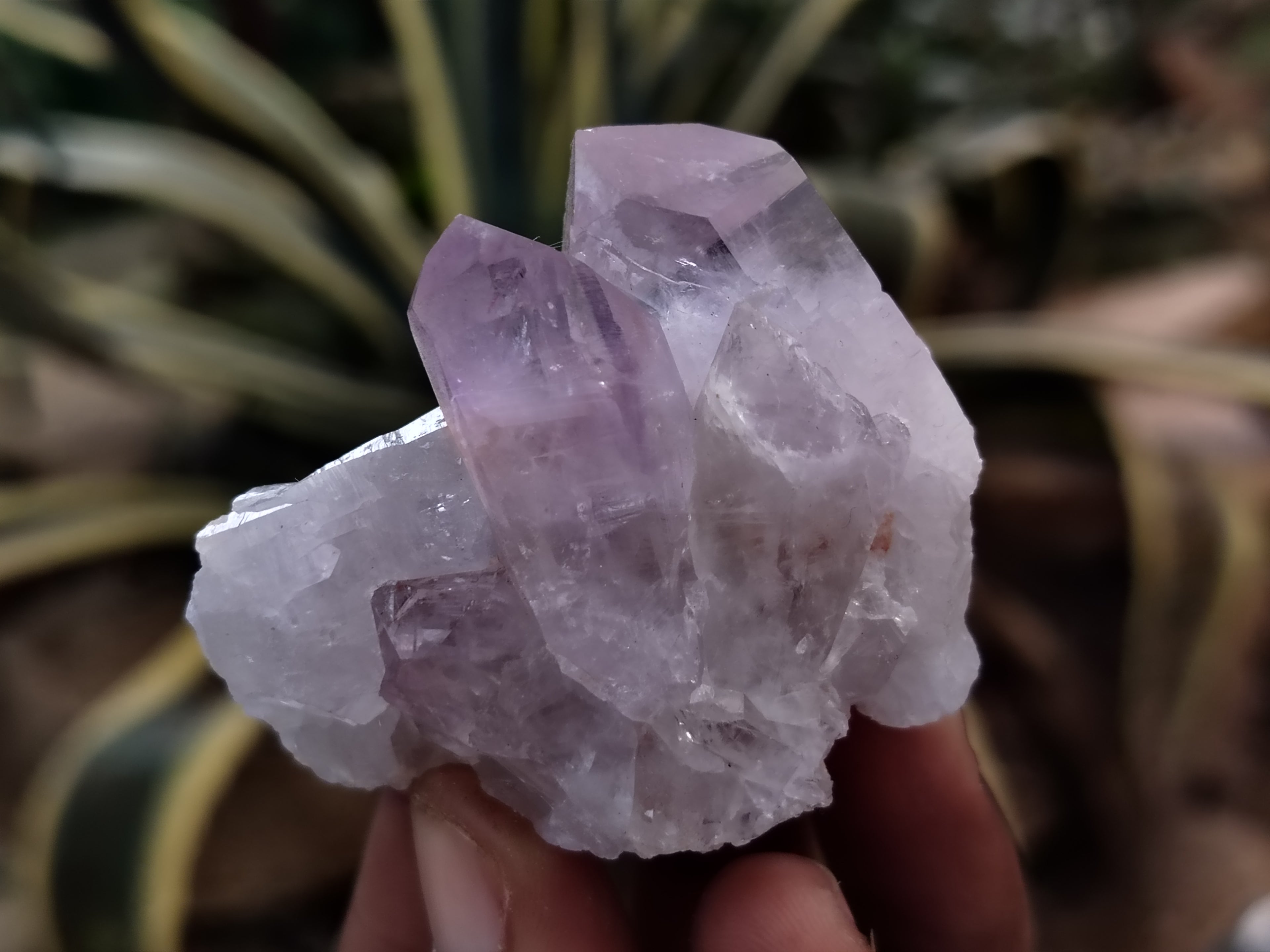 Natural Jacaranda Amethyst Single Quartz Crystals x 35 From Mumbwa, Zambia - Toprock Gemstones and Minerals 