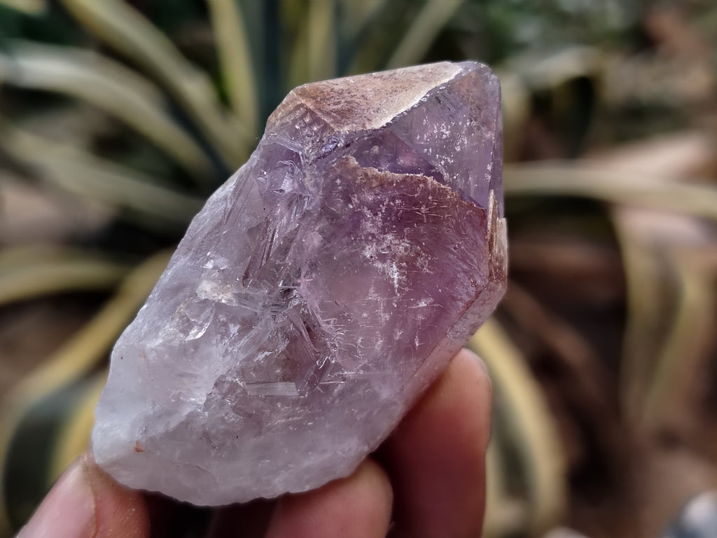 Natural Jacaranda Amethyst Single Quartz Crystals x 35 From Mumbwa, Zambia - Toprock Gemstones and Minerals 