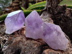 Natural Jacaranda Amethyst Single Quartz Crystals x 35 From Mumbwa, Zambia - Toprock Gemstones and Minerals 