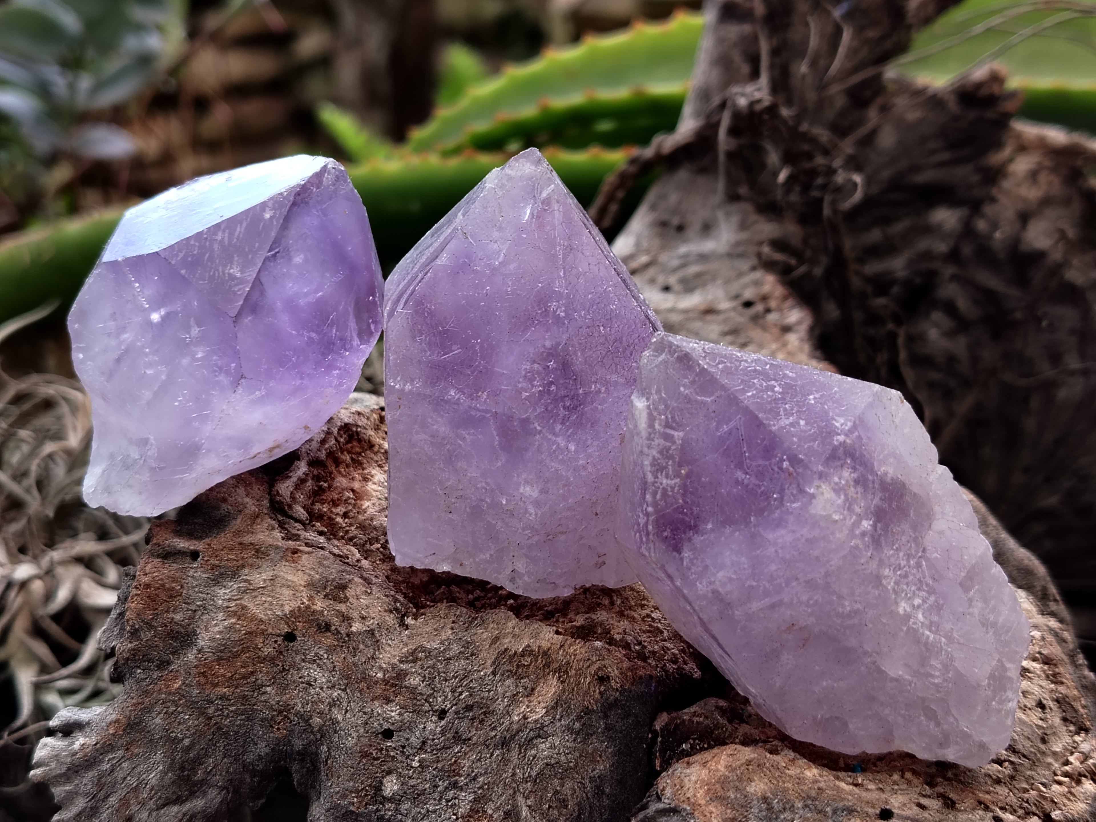 Natural Jacaranda Amethyst Single Quartz Crystals x 35 From Mumbwa, Zambia - Toprock Gemstones and Minerals 
