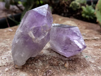 Natural Jacaranda Amethyst Single Quartz Crystals x 35 From Mumbwa, Zambia - Toprock Gemstones and Minerals 