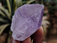 Natural Jacaranda Amethyst Single Quartz Crystals x 35 From Mumbwa, Zambia - Toprock Gemstones and Minerals 