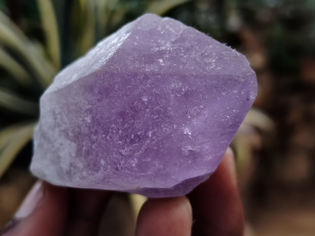Natural Jacaranda Amethyst Single Quartz Crystals x 35 From Mumbwa, Zambia - Toprock Gemstones and Minerals 