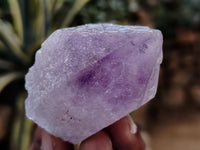 Natural Jacaranda Amethyst Single Quartz Crystals x 35 From Mumbwa, Zambia - Toprock Gemstones and Minerals 