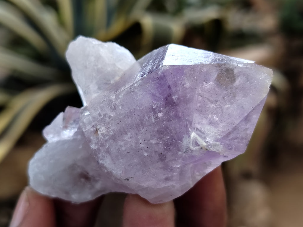 Natural Jacaranda Amethyst Single Quartz Crystals x 35 From Mumbwa, Zambia - Toprock Gemstones and Minerals 