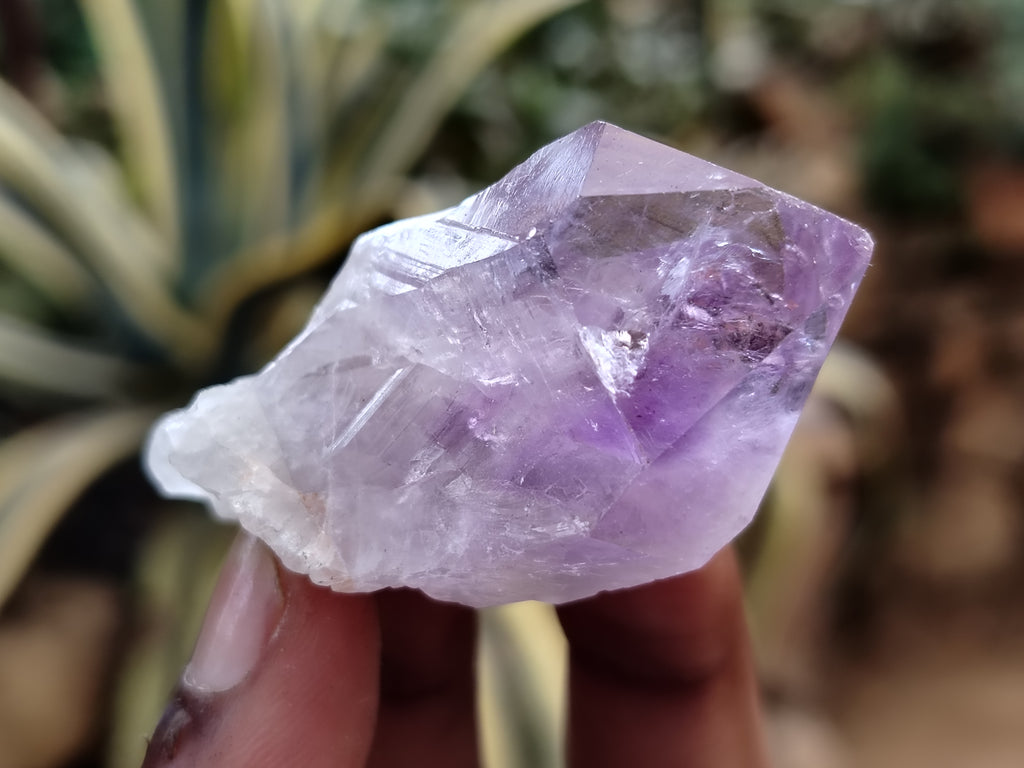 Natural Jacaranda Amethyst Single Quartz Crystals x 35 From Mumbwa, Zambia - Toprock Gemstones and Minerals 