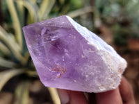 Natural Jacaranda Amethyst Single Quartz Crystals x 35 From Mumbwa, Zambia - Toprock Gemstones and Minerals 