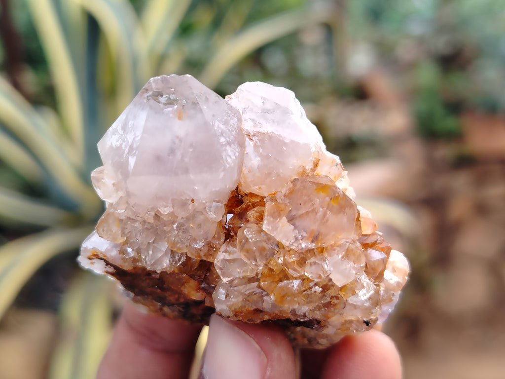 Natural Dark Purple Smokey Amethyst Spirit Quartz Clusters x 35 From South Africa - Toprock Gemstones and Minerals 