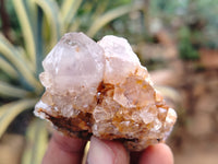 Natural Dark Purple Smokey Amethyst Spirit Quartz Clusters x 35 From South Africa - Toprock Gemstones and Minerals 