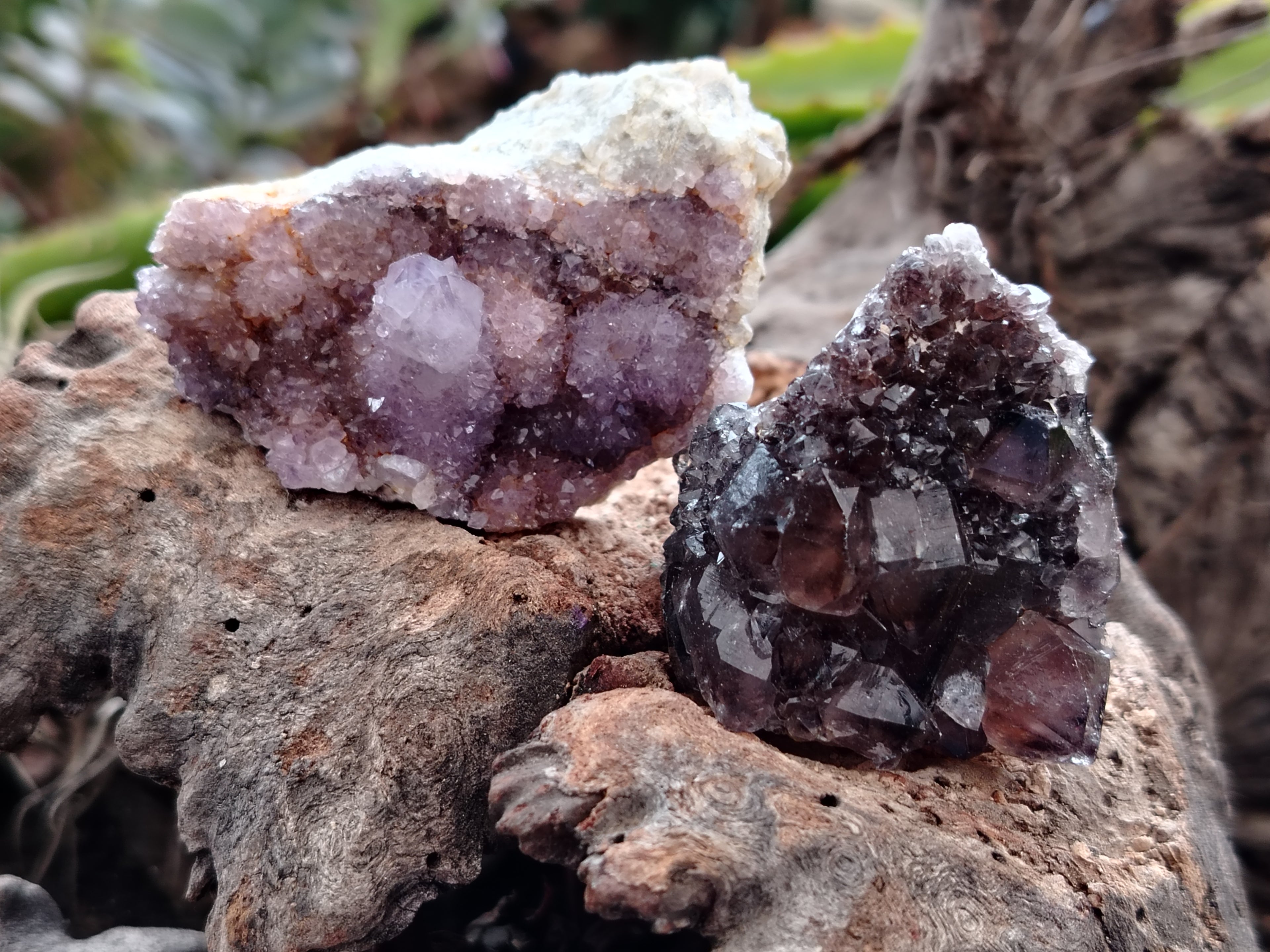 Natural Dark Purple Smokey Amethyst Spirit Quartz Clusters x 35 From South Africa - Toprock Gemstones and Minerals 
