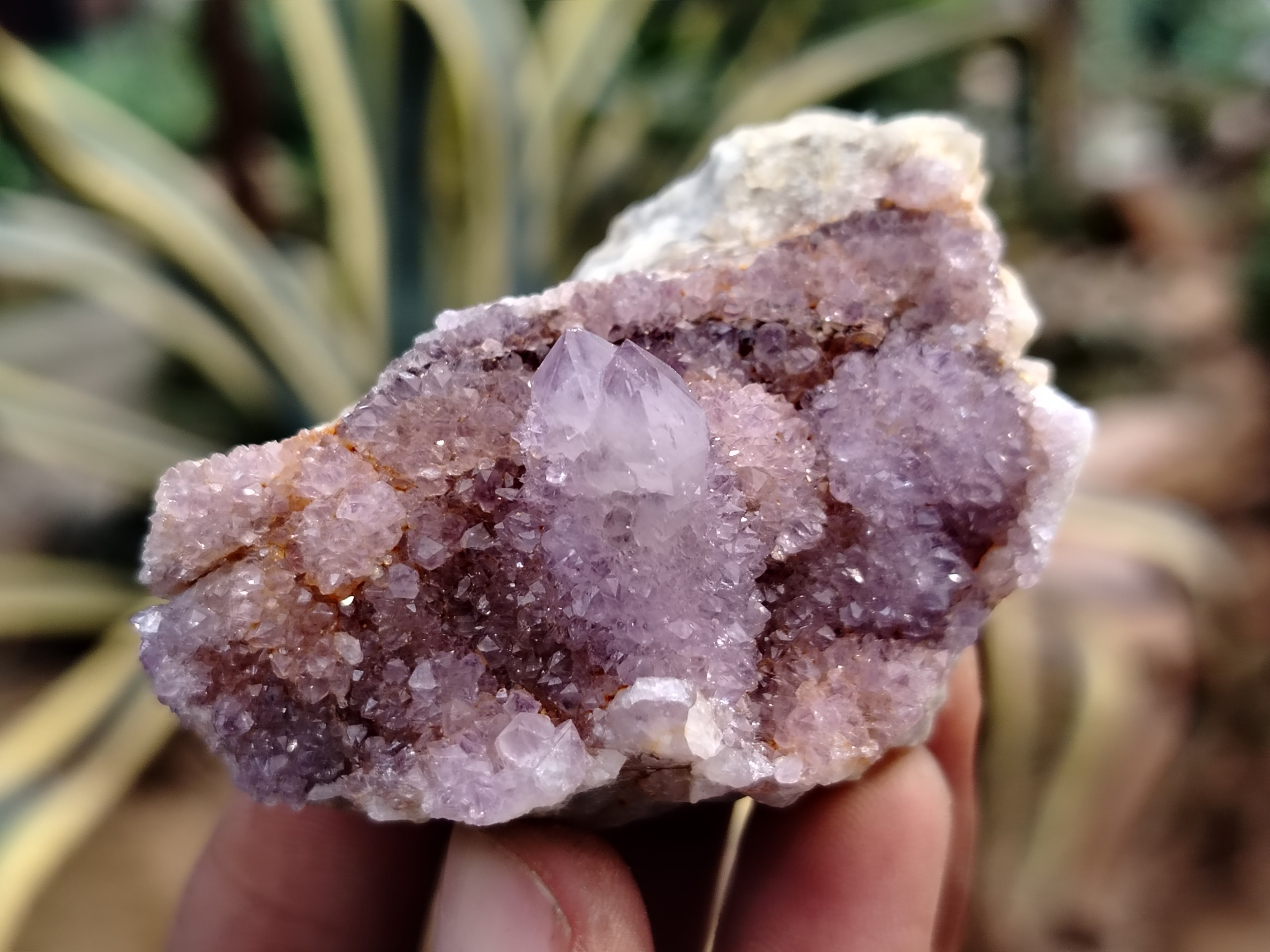Natural Dark Purple Smokey Amethyst Spirit Quartz Clusters x 35 From South Africa - Toprock Gemstones and Minerals 