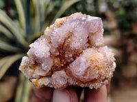 Natural Dark Purple Smokey Amethyst Spirit Quartz Clusters x 35 From South Africa - Toprock Gemstones and Minerals 