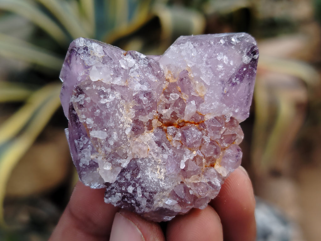 Natural Dark Purple Smokey Amethyst Spirit Quartz Clusters x 35 From South Africa - Toprock Gemstones and Minerals 