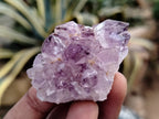 Natural Dark Purple Smokey Amethyst Spirit Quartz Clusters x 35 From South Africa - Toprock Gemstones and Minerals 