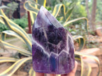 Polished Chevron Amethyst Points x 2 From Ankazobe, Madagascar - Toprock Gemstones and Minerals 