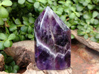 Polished Chevron Amethyst Points x 2 From Ankazobe, Madagascar - Toprock Gemstones and Minerals 