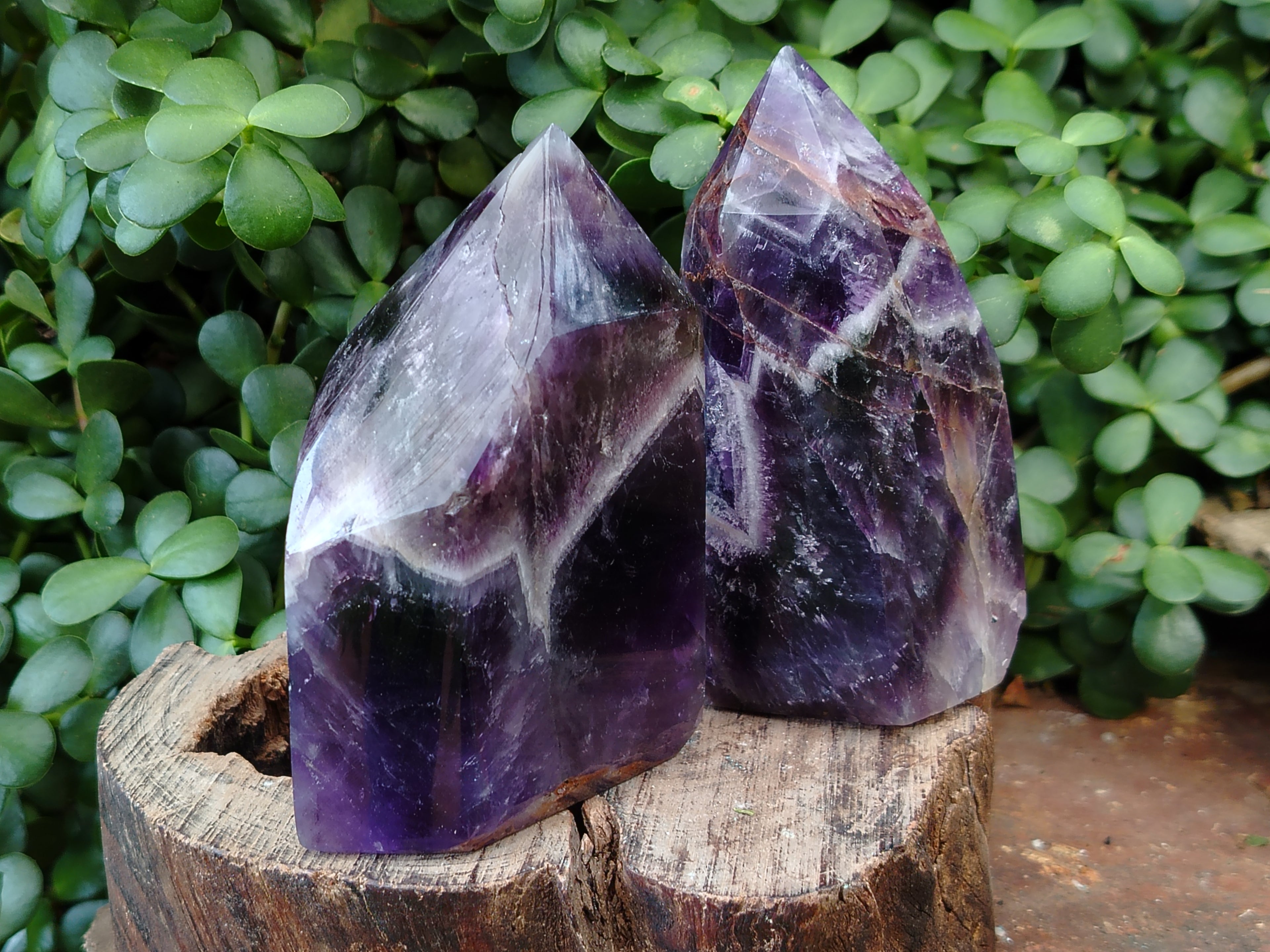 Polished Chevron Amethyst Points x 2 From Ankazobe, Madagascar - Toprock Gemstones and Minerals 