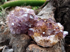Natural Dark Amethyst Spirit Quartz Clusters x 12 From Boekenhouthoek, South Africa - Toprock Gemstones and Minerals 