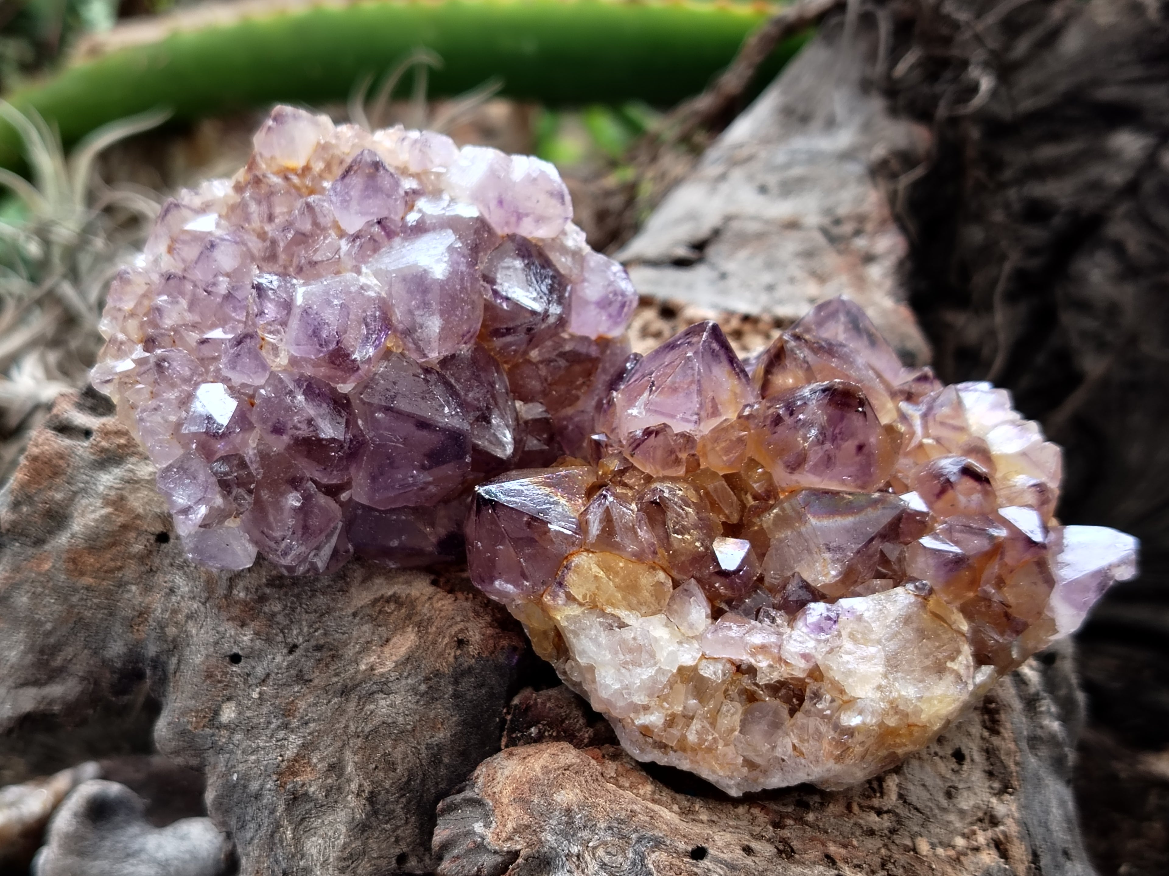 Natural Dark Amethyst Spirit Quartz Clusters x 12 From Boekenhouthoek, South Africa - Toprock Gemstones and Minerals 