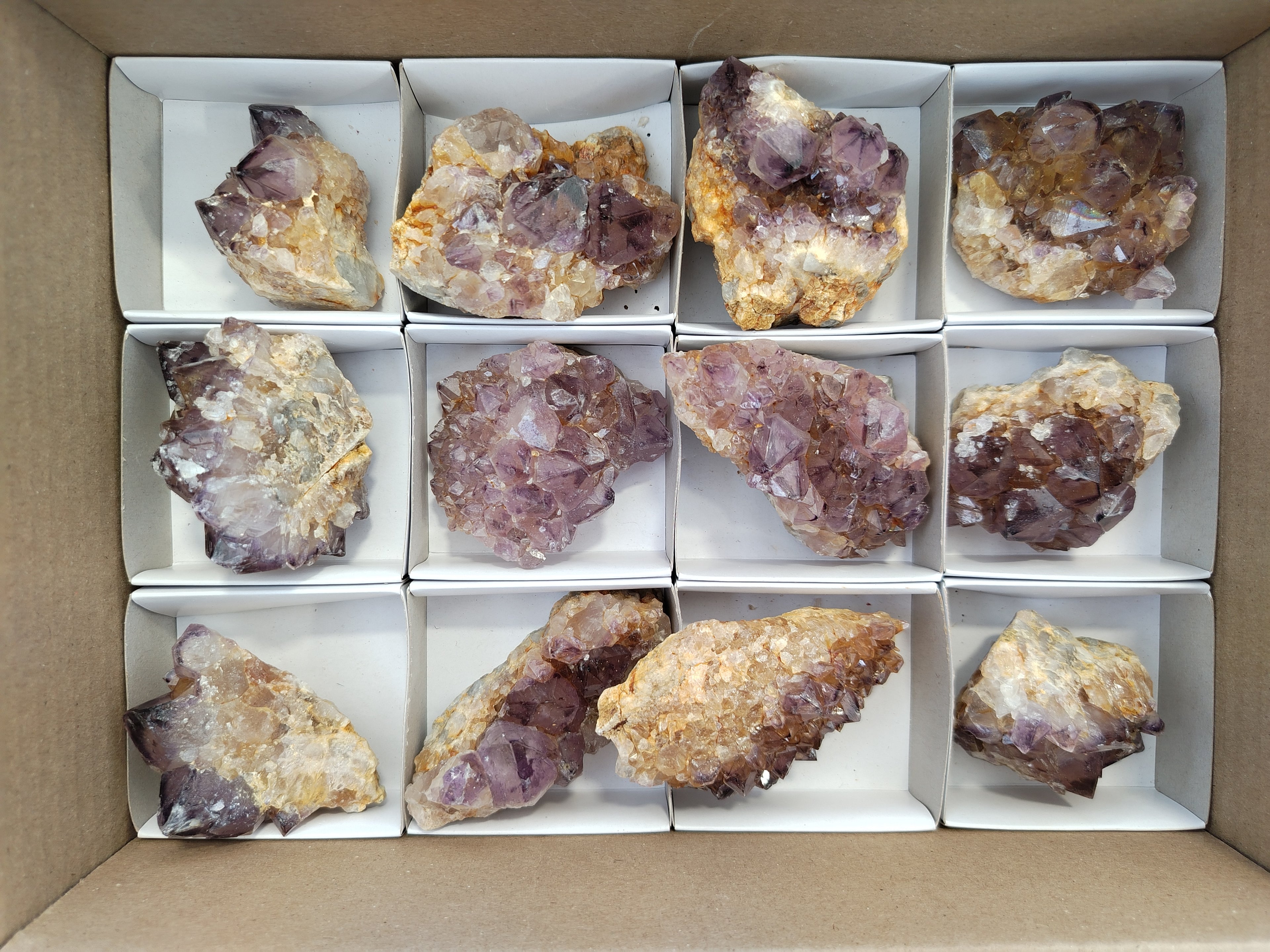 Natural Dark Amethyst Spirit Quartz Clusters x 12 From Boekenhouthoek, South Africa - Toprock Gemstones and Minerals 