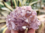 Natural Dark Amethyst Spirit Quartz Clusters x 12 From Boekenhouthoek, South Africa - Toprock Gemstones and Minerals 