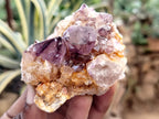 Natural Dark Amethyst Spirit Quartz Clusters x 12 From Boekenhouthoek, South Africa - Toprock Gemstones and Minerals 