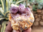 Natural Dark Amethyst Spirit Quartz Clusters x 12 From Boekenhouthoek, South Africa - Toprock Gemstones and Minerals 
