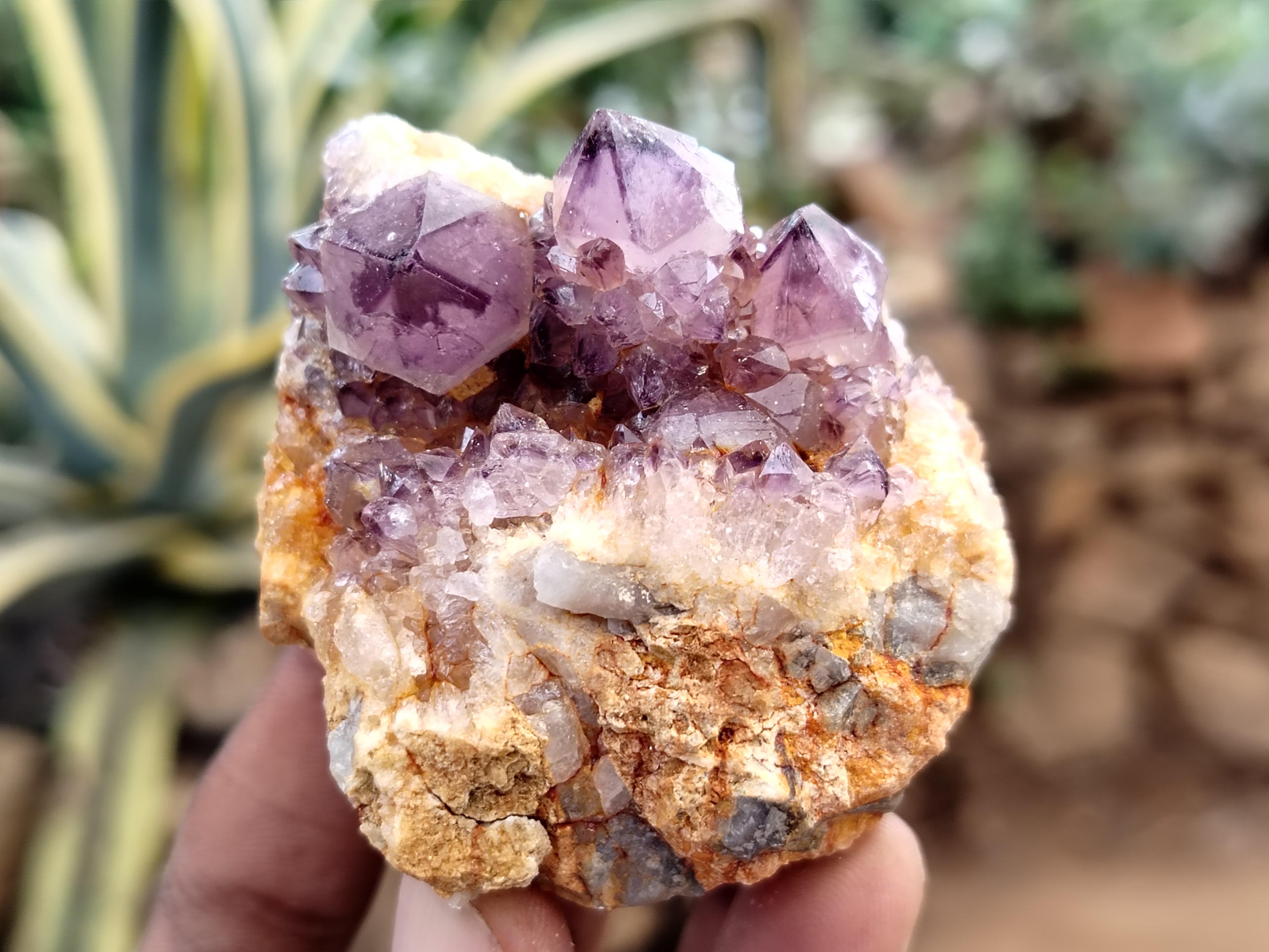 Natural Dark Amethyst Spirit Quartz Clusters x 12 From Boekenhouthoek, South Africa - Toprock Gemstones and Minerals 